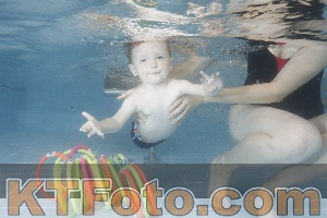 Photo 4266099