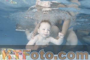 Photo 4266100