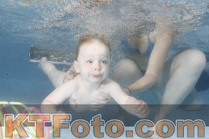 Photo 4266101