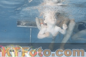 Photo 4266102