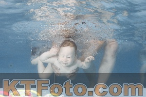 Photo 4266107