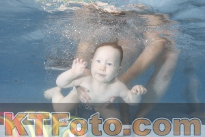 Photo 4266108