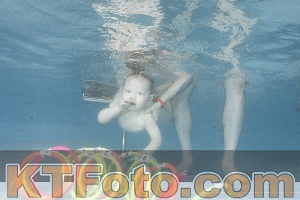 Photo 4266109