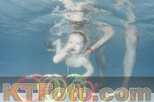 Photo 4266110