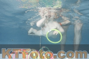Photo 4266111