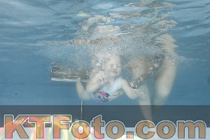 Photo 4266112