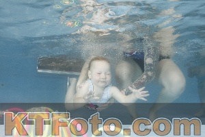 Photo 4266113