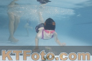 Photo 4266185