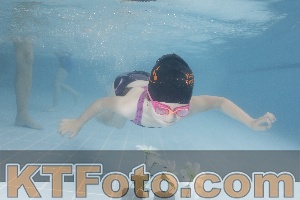 Photo 4266186