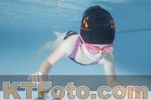 Photo 4266187