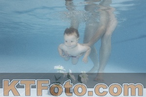Photo 4266188