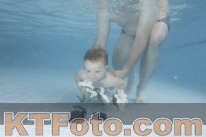 Photo 4266190