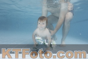 Photo 4266191