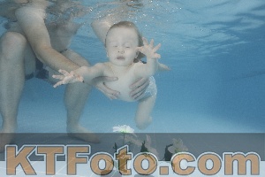 Photo 4266194