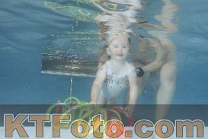 Photo 4266204