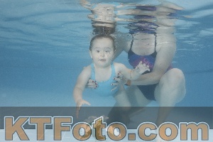 Photo 4266314
