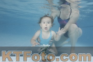 Photo 4266316
