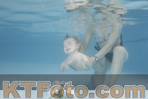 Photo 4266319