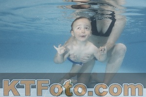 Photo 4266324
