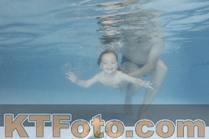 Photo 4266325