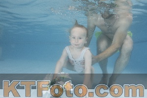 Photo 4266329