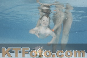 Photo 4266332