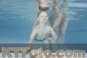 Photo 4266334
