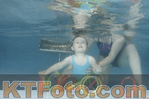 Photo 4266336
