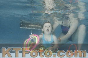 Photo 4266337