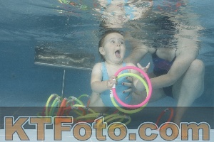 Photo 4266338