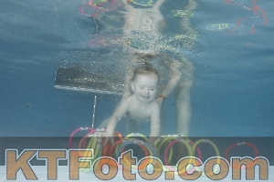 Photo 4266339
