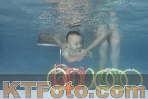 Photo 4266342