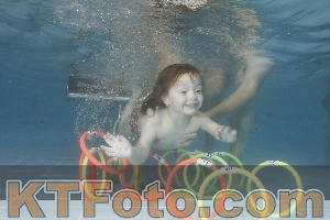 Photo 4266348