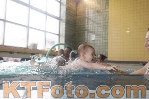 Photo 4266406