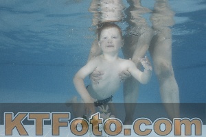 Photo 4266500