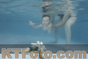Photo 4266504
