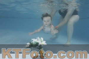 Photo 4266505