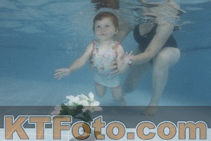 Photo 4266506