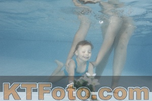 Photo 4266509