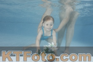 Photo 4266510