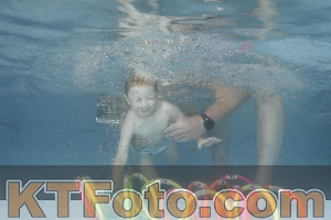 Photo 4266518