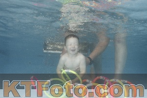 Photo 4266521