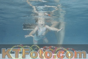Photo 4266522