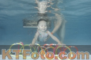 Photo 4266523