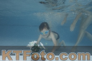 Photo 4266633