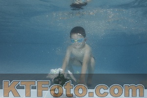 Photo 4266634