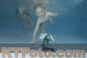 Photo 4266635