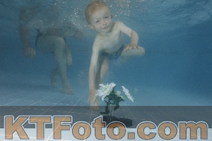 Photo 4266636