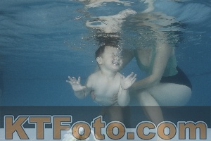 Photo 4266638