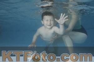 Photo 4266639